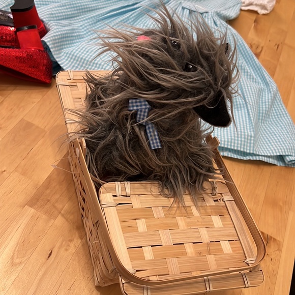 Dorothy from The Wizard of Oz - Full Costume Set - Toto and Ruby Slippers - Picture 11 of 14